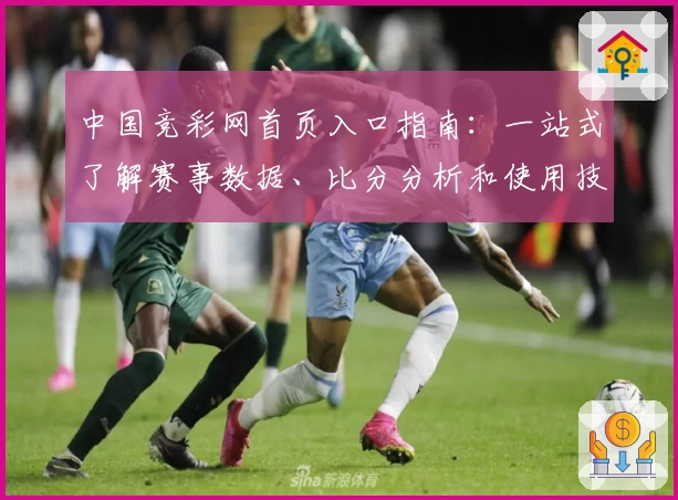 中国竞彩网首页入口指南：一站式了解赛事数据、比分分析和使用技巧