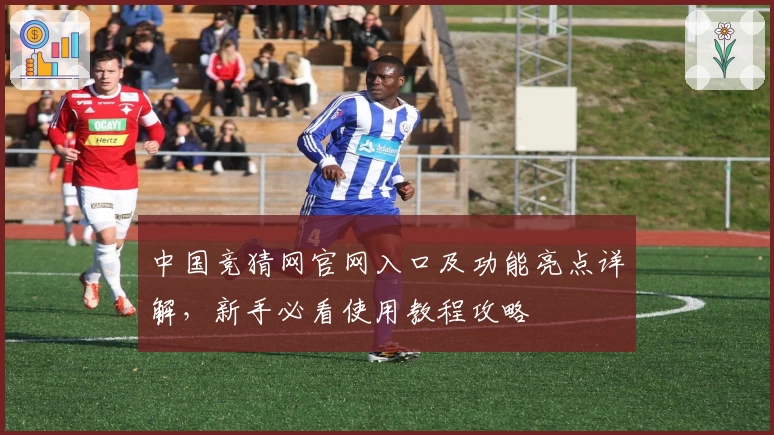 中国竞猜网官网入口及功能亮点详解，新手必看使用教程攻略