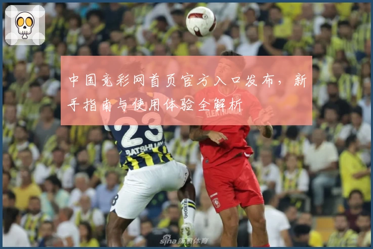 中国竞彩网首页官方入口发布，新手指南与使用体验全解析